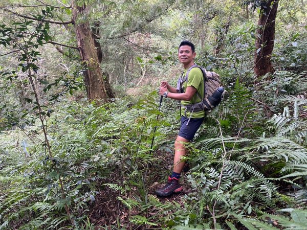 南東眼山.夢谷瀑布【好像是中級山探勘路線的荒山野嶺】2630630