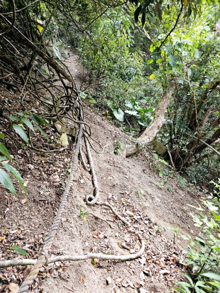 女仍山-小百岳#79-屏東縣獅子鄉2732097