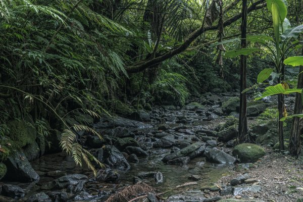 枋山坑+中坑古道連走1475150