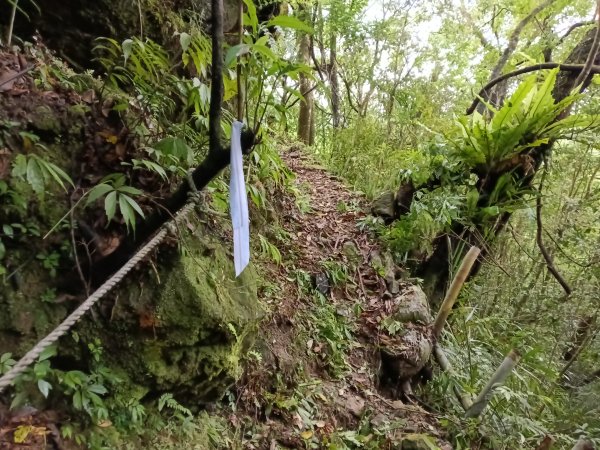 平溪區三功大厝+番子坑山+千階嶺步道O型2781110