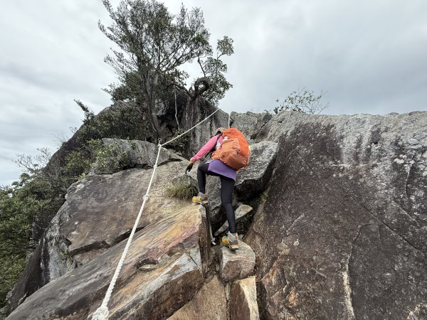 鳶嘴山+稍來神木 202508302873867
