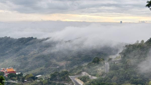 #雲瀑 #雲海 #琉璃光 #天空之城（林口）#觀音山 #林梢步道 3/13008585
