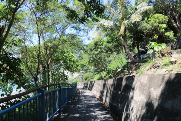 南迴鐵路最美的山海景。多良車站x向陽薪傳740594