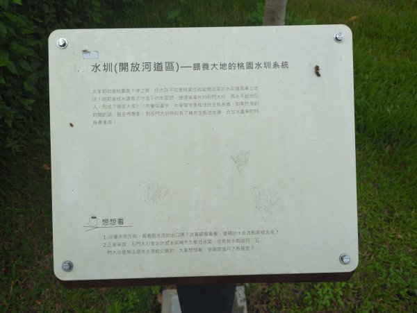 2025.07.20－霄裡好風光：大湳森林公園&亮亮健康樂園2841521