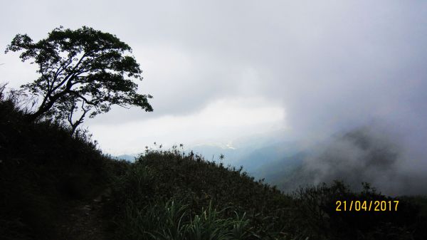  聖母山莊+三角崙山 = 蘭陽名山美境 175596