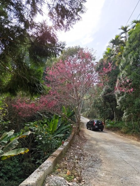 鹿谷小半天6峰連走1269678