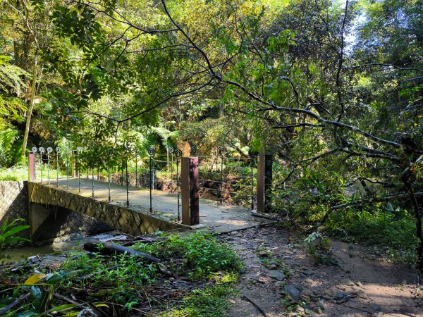 2024-08-22 澀水森林步道2578386