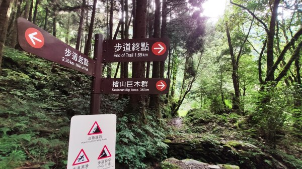 檜山巨木森林步道1779523