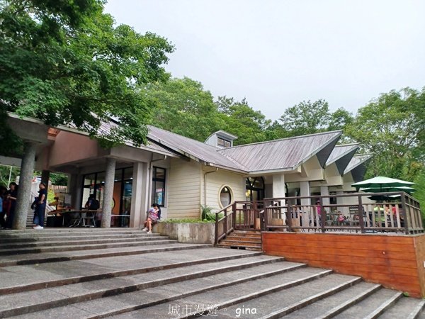 【桃園復興】台灣百大必訪步道。 東眼山森林遊樂區-東眼山自導式步道2835954