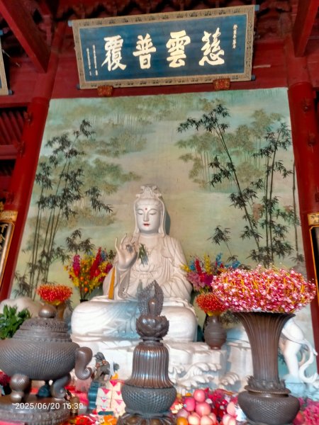 普陀山島：普陀山-紫竹林（觀世音道場）不肯去觀音&南海觀音2820338