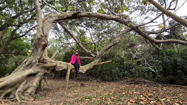 北部出發來去中部悠哉走個鐵砧山2993405