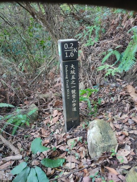 ［小百岳］頭嵙山+貳嵙山2237663