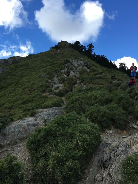 合歡尖山步道176120