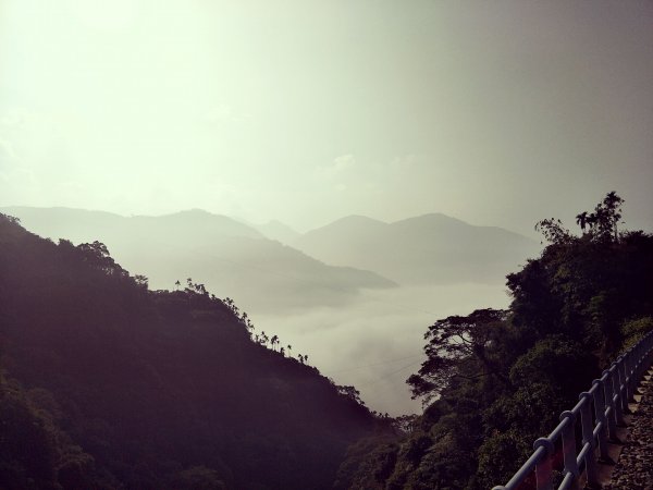 2019 01 09 獨立山國家步道501560