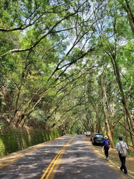 【彰化 | 橫山】975462