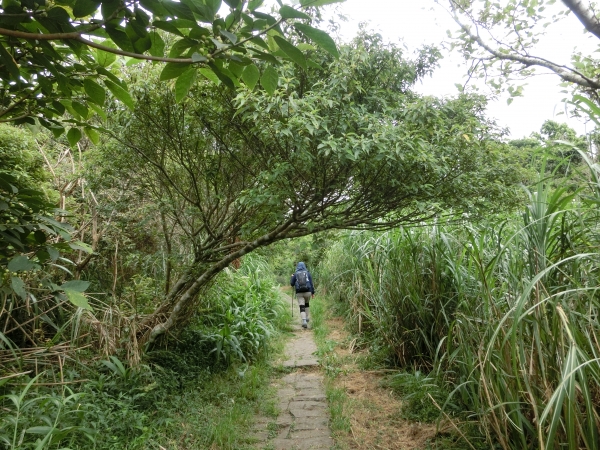 面天山．向天山．向天池94280