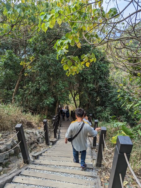 2023-02-04 大坑9、10號步道2792388