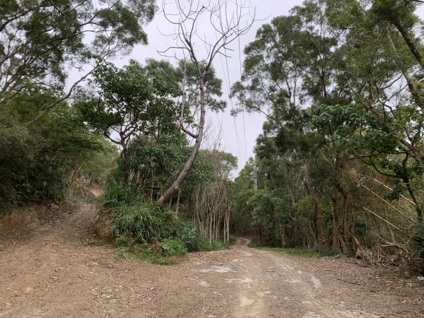 20250127屏東坪埔厝山-草山-南湖呂山西峰-南湖呂山2705096