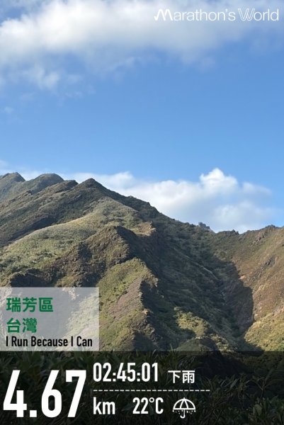 新北 瑞芳 黃金八稜七稜O型2956140