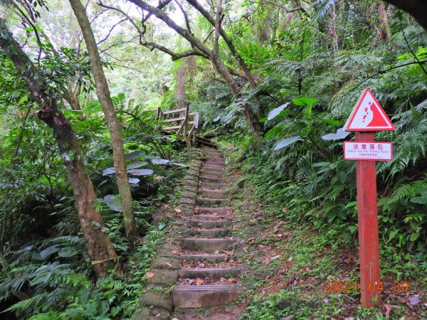 花蓮 撒固兒步道1368097