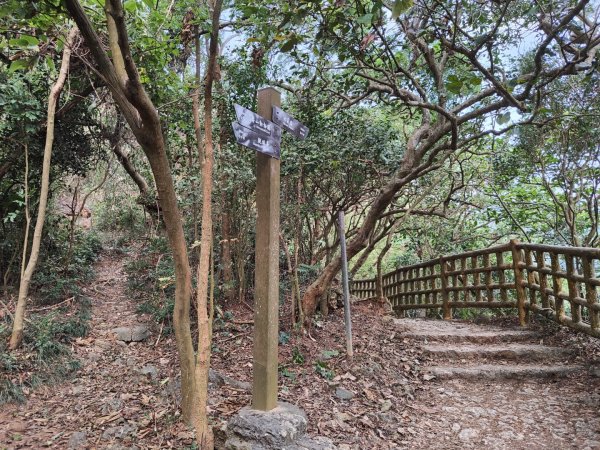 2023.12.24 高雄壽山2835316