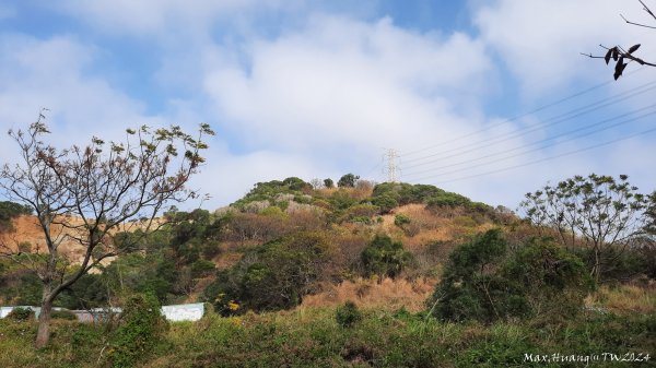 《台中》黃金草坡｜龍井竹坑南寮(上竹坑山）及瑞井步道O繞202401202407279