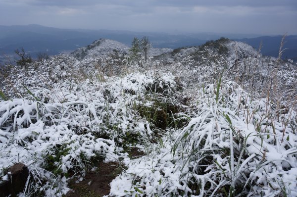 「四分尾山」賞雪趣(2016/01/24)1945031