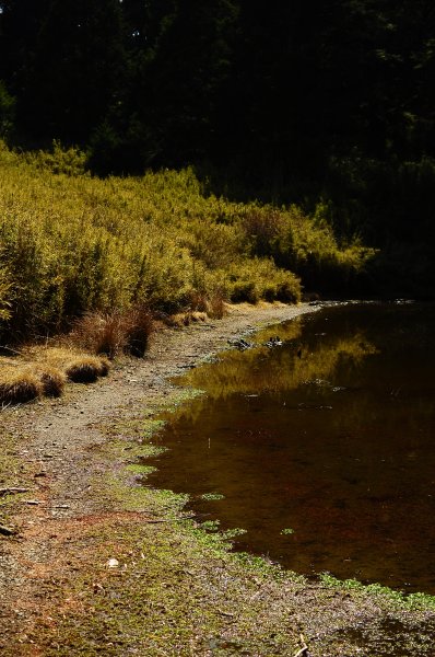 武法奈尾山天巒池872511