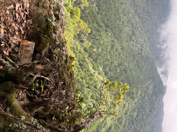 20250607 春谷養鱒場所上加里山 出大坪2805209