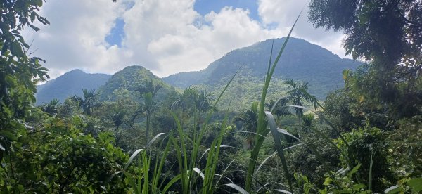 關子嶺大凍山.台南白河+嘉義大埔2877501