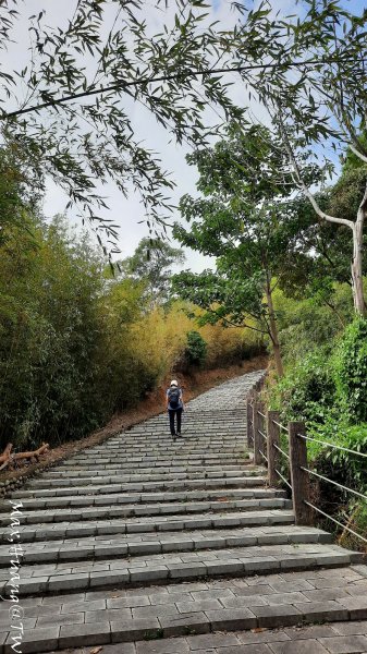 《苗栗》遺落莊園｜墨硯山步道O繞202310222322877