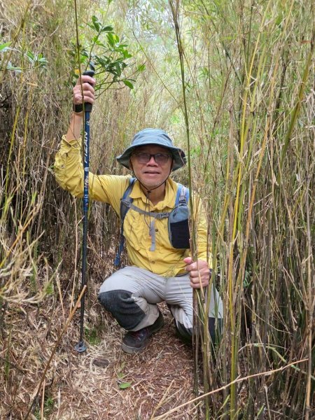 北一段(10/14)馬比杉山 2025_0906~132887119