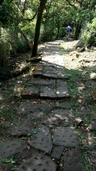 大尖山（小百岳）→四分尾山→秀峰瀑布306833