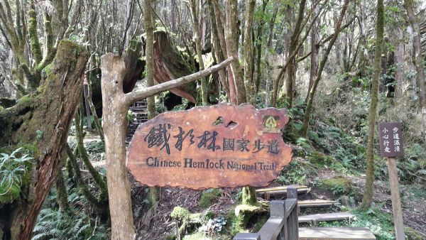 太平山國家森林遊樂區374708
