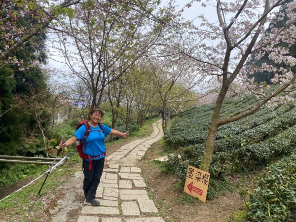 鵝公髻山（小百岳）鵝公髻山東北峰2449878