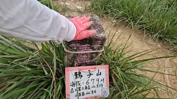 宜蘭小百岳鵲子山O走3083266