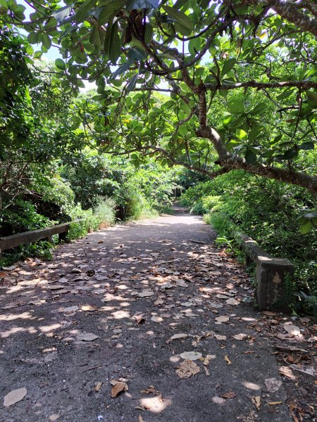 蘭嶼三日遊D2---大天池步道+紅頭森林生態步道+乳頭山步道+情人洞步道202307092217072