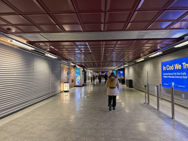 [紐約馬之行-24] 2025_1105 飛往格陵蘭2946899