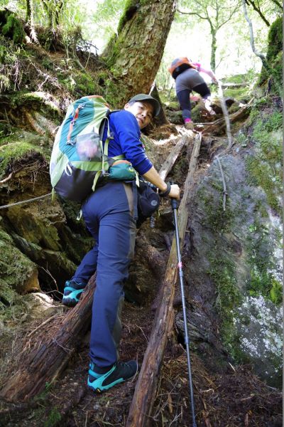 走過天險之路~合歡越嶺古道順登卯木山170702