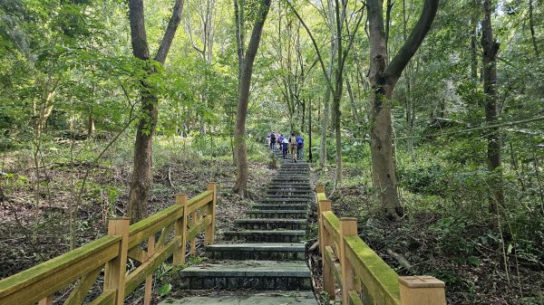 天梯取經步道2562926