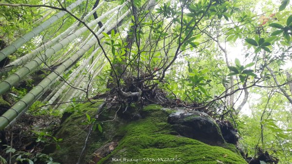 《雲林》望好望角｜石壁山嘉南雲峰步道(中側登山口）202506072805364