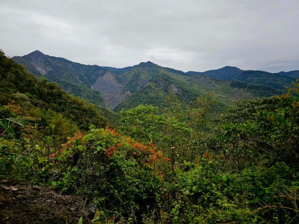 西阿里關山-小百岳#66-高雄市甲仙區2749990