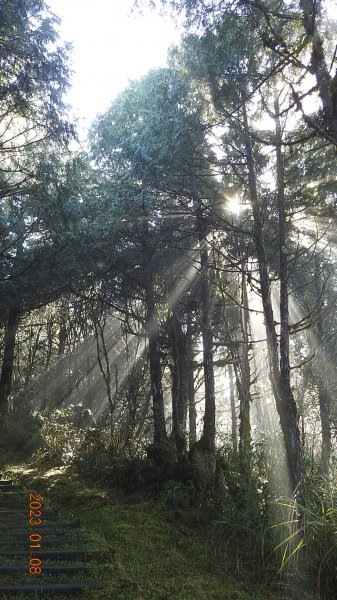 再衝太平山賞日出/雲海雲瀑同框&霧虹觀音圈同框&首登望洋山1/81986383