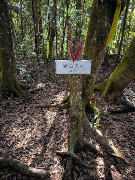 2025-12-21 武界山、獅凸魯山、橫屏山、橫屏山西峰2969690