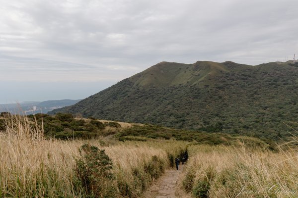 [台北]大屯山2693398