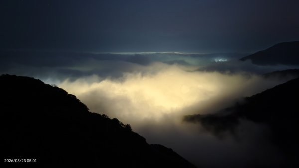 #大屯山 #日出 #雲海 #琉璃光 #橘咖啡 #吉野櫻 3/233020505