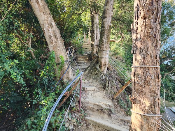 小百岳No.42⛰南觀音山2924857