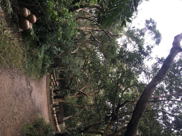 五酒桶山、南崁山2693345