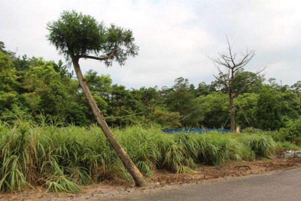 1040729礁溪跑馬古道3099914