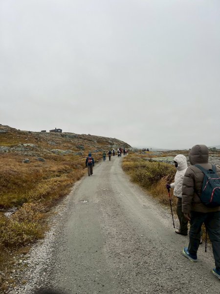 Norway-FINSE-Hardangervidda冰河高原健行-未竟2917800